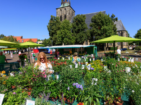 Weekmarkt Nordhorn